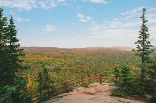 A scenic view of a colorful forest in autumn, with a wooden railing and blue sky above.