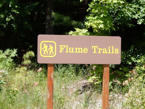 Sign for Flume Trails with hiking symbols, surrounded by greenery and trees.