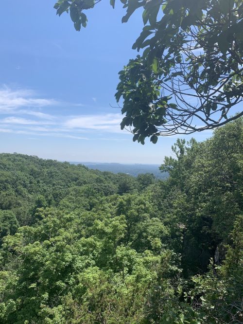 Lush green trees under a clear blue sky, with distant hills visible in the background.