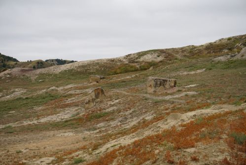A barren landscape with rocky formations and sparse vegetation under a cloudy sky.