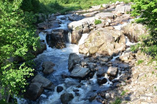 A serene river flows over rocky terrain, surrounded by lush greenery and sunlight.