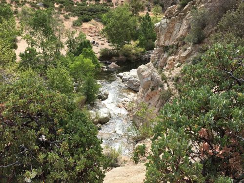 A serene landscape featuring a rocky stream surrounded by lush greenery and trees.