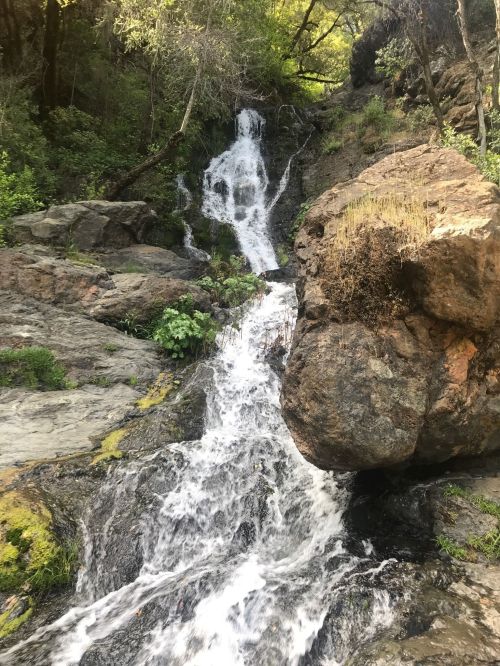 A cascading waterfall flows over rocks, surrounded by lush greenery and trees in a serene natural setting.