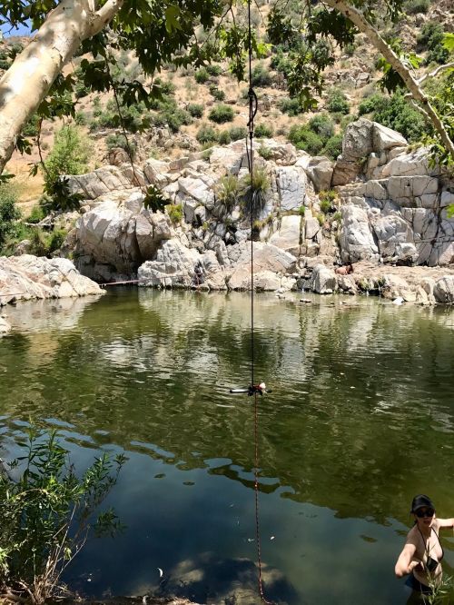 A serene swimming hole surrounded by rocky cliffs and greenery, featuring a rope swing hanging over the water.