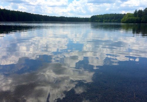 A serene lake reflecting fluffy clouds and trees, with calm water creating a peaceful natural scene.