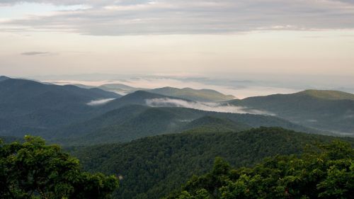 A panoramic view of misty mountains under a cloudy sky, with lush green forests in the foreground.