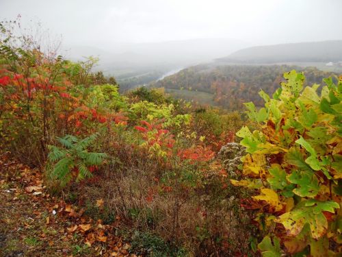 A misty landscape with colorful autumn foliage, overlooking a winding river and rolling hills in the distance.