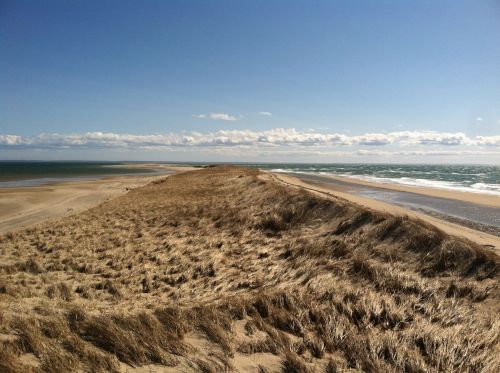 A sandy beach with tall grass, meeting the ocean under a clear blue sky and scattered clouds in the distance.