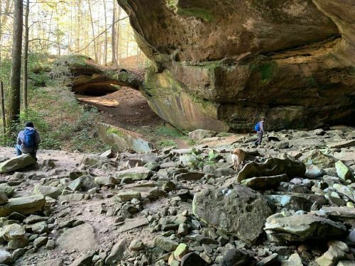 Two hikers explore a rocky cave area in a forest, with a dog nearby and sunlight filtering through the trees.