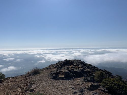 A rocky outcrop overlooks a sea of clouds under a clear blue sky, creating a serene mountain landscape.