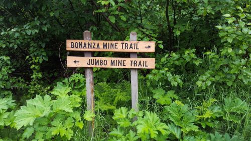 Wooden signpost with arrows pointing to "Bonanza Mine Trail" and "Jumbo Mine Trail" surrounded by lush greenery.