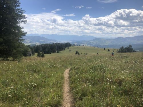 A winding dirt path leads through a grassy meadow, surrounded by trees and mountains under a partly cloudy sky.