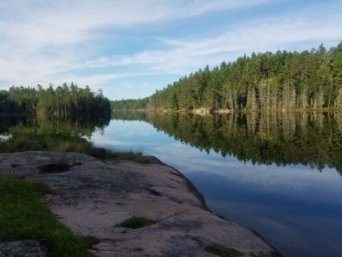 A serene lake surrounded by lush green trees, reflecting the sky and landscape on its calm surface.