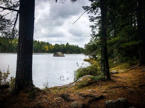A serene lake surrounded by trees, with a rocky island in the distance under a cloudy sky.