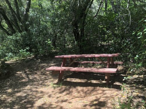 A red picnic table in a shaded area surrounded by trees and greenery.