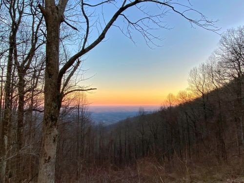 A serene landscape at sunset, featuring bare trees and a colorful sky over rolling hills.