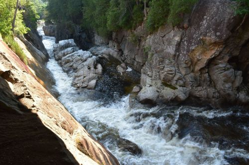 A rushing river flows between rocky cliffs, surrounded by lush greenery and sunlight filtering through the trees.