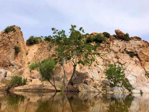 A serene landscape featuring a rocky cliff reflected in calm water, with trees growing at the base.