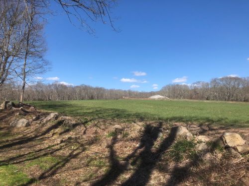 A grassy field under a clear blue sky, bordered by trees and a rocky stone wall, with a few clouds in the distance.