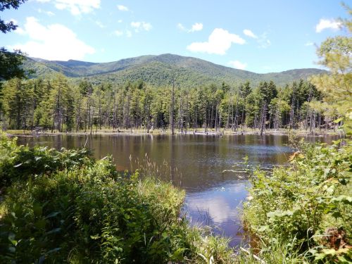 A serene lake surrounded by lush greenery and mountains under a clear blue sky.