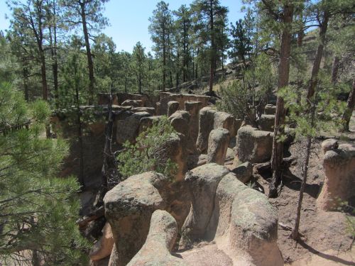 Rock formations surrounded by tall pine trees in a sunny forest landscape.