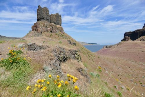 A rocky outcrop rises above a landscape of dry grass and yellow wildflowers, with a lake and blue sky in the background.