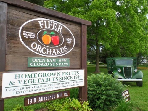 Sign for Fifer Orchards with a vintage green truck parked nearby, surrounded by trees. Open 8 AM - 6 PM, closed Sundays.