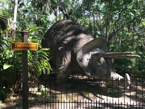A large Triceratops statue surrounded by lush greenery, with a sign identifying it as a Triceratops.