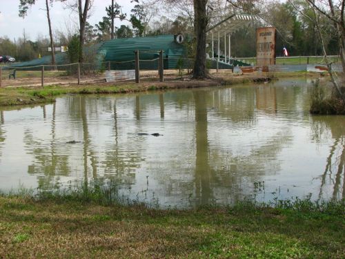 A calm pond with reflections, surrounded by trees and a sign in the background, indicating a recreational area.
