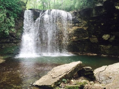 A serene waterfall cascading over rocks into a clear pool, surrounded by lush greenery and trees.
