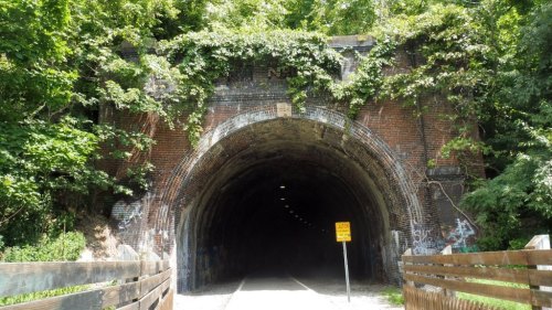 A dark tunnel entrance surrounded by lush greenery and graffiti, with a warning sign visible nearby.