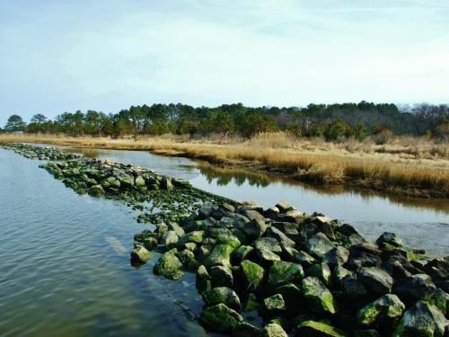 A serene landscape featuring a rocky shoreline, calm water, and grassy areas under a cloudy sky.