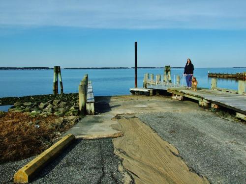 A person stands on a dock with a dog, overlooking a calm blue waterway and clear sky.