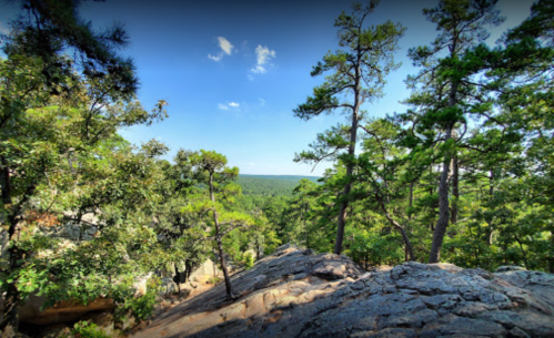 A scenic view of a forested landscape with rocky outcrops and a clear blue sky.