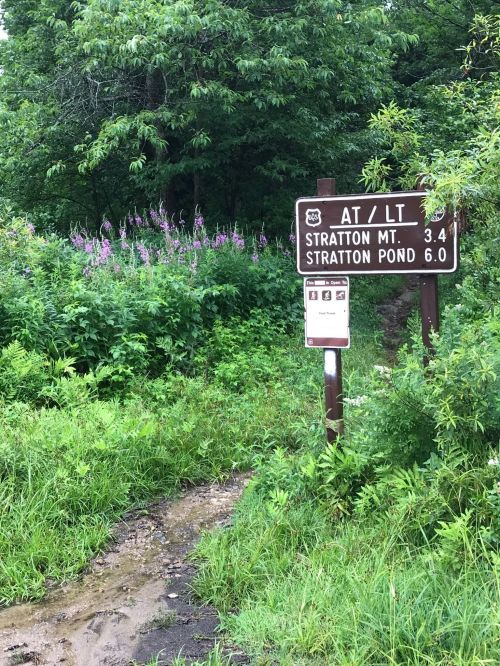 Trail sign indicating distances to Stratton Mountain (3.4 miles) and Stratton Pond (6.0 miles) surrounded by greenery.
