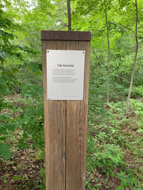 A wooden sign in a forest labeled "The Pasture," featuring a poem or information about the area. Green foliage surrounds it.