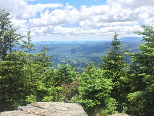 A scenic view of green mountains and valleys under a partly cloudy sky, framed by evergreen trees in the foreground.
