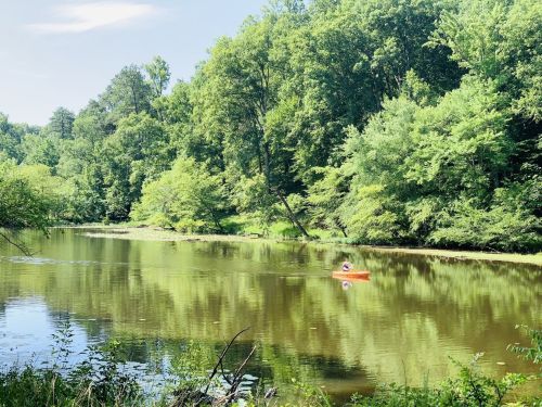A person kayaking on a calm river surrounded by lush green trees and reflections on the water's surface.