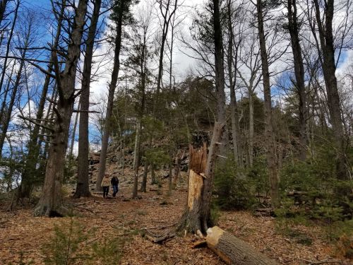 Two hikers walk along a forest trail surrounded by tall trees and rocky terrain under a partly cloudy sky.