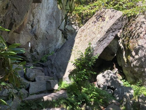 A rocky pathway leads through lush greenery, with large boulders and ferns surrounding the area.