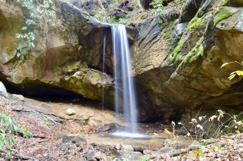 A serene waterfall cascading over rocks into a small pool, surrounded by lush greenery and moss-covered stones.
