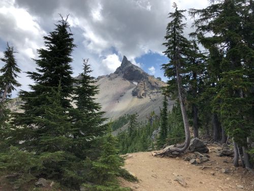A rocky mountain peak rises above a forest of tall evergreen trees under a cloudy sky.