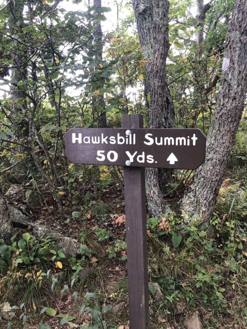 A wooden sign indicating "Hawksbill Summit 50 Yds" surrounded by trees and foliage.