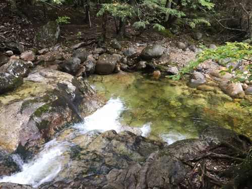 A serene stream flows over rocks, surrounded by lush greenery and trees in a peaceful natural setting.