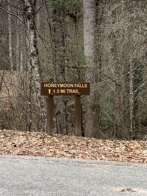 Sign for Honeymoon Falls with an arrow indicating a 1.5-mile trail, surrounded by trees and fallen leaves.