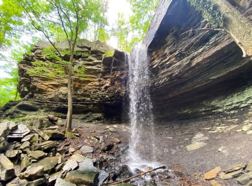 A serene waterfall cascading over rocky cliffs, surrounded by lush green trees in a tranquil forest setting.