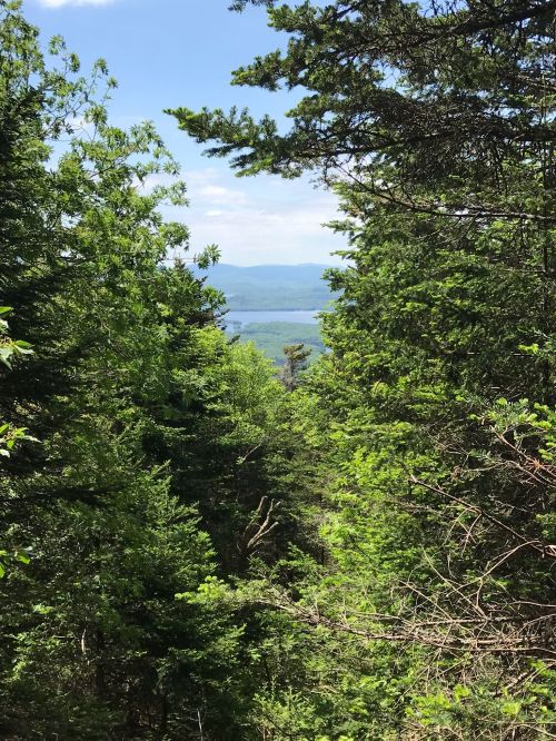A scenic view through dense green trees, revealing a distant lake and mountains under a blue sky.