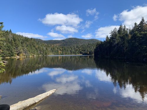 A serene lake surrounded by trees and mountains, reflecting clouds in the calm water under a blue sky.