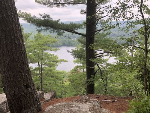 A serene view of a lake surrounded by lush green trees and rocky terrain, under a cloudy sky.