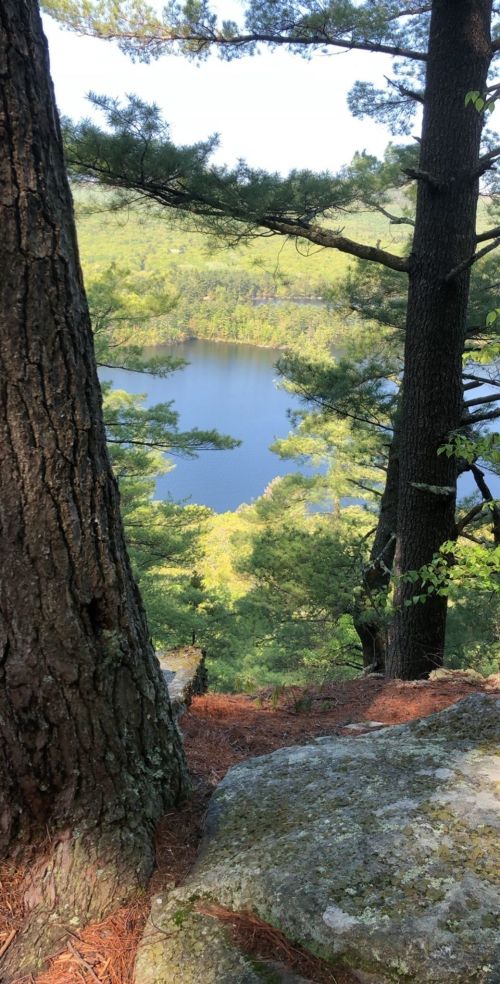 A serene view of a lake surrounded by lush greenery, framed by tall trees and rocky terrain.